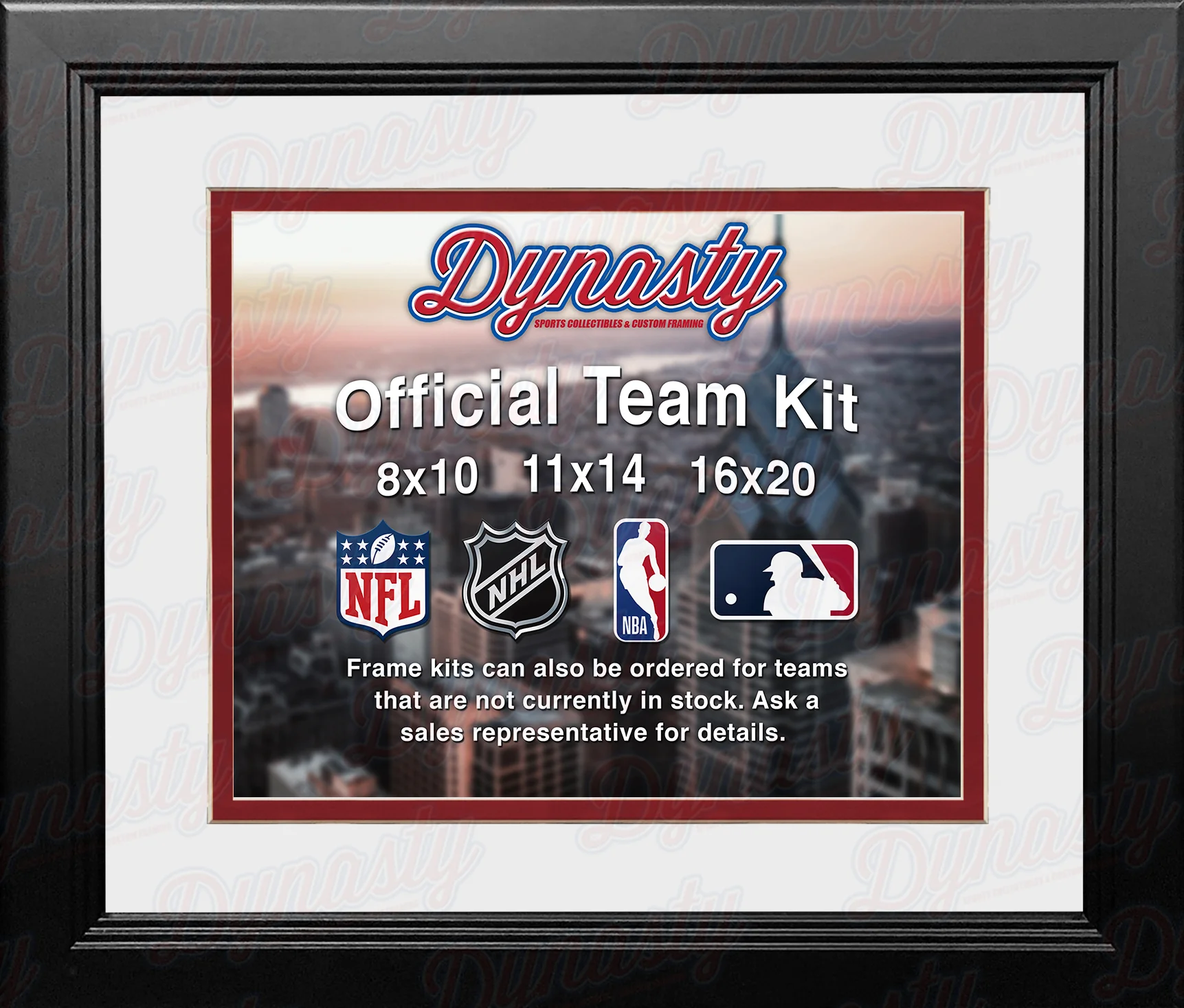 NBA Basketball Photo Picture Frame Kit - Los Angeles Clippers (White Matting, Red Trim)