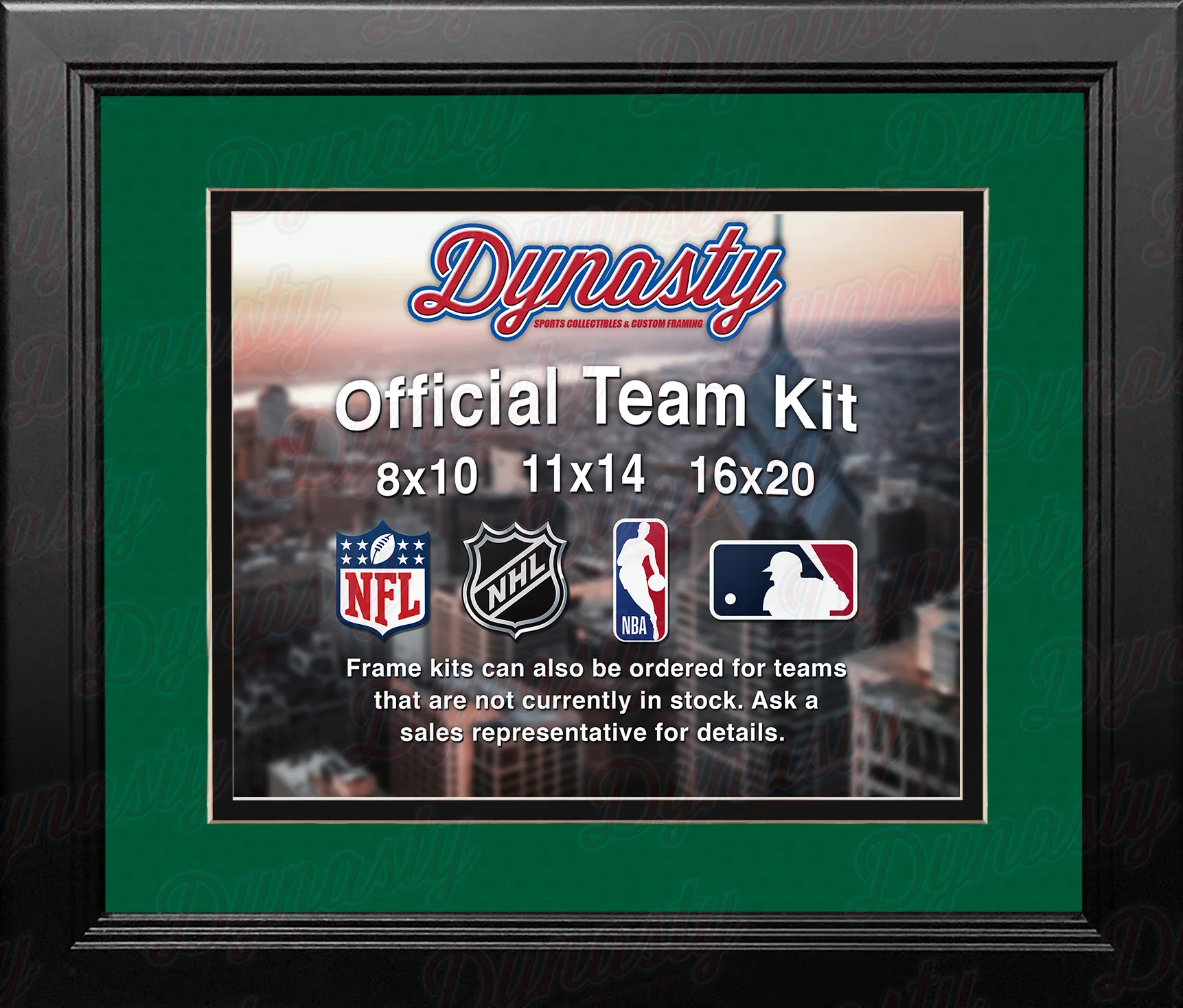 NHL Hockey Photo Picture Frame Kit - Dallas Stars (Green Matting, Black Trim)