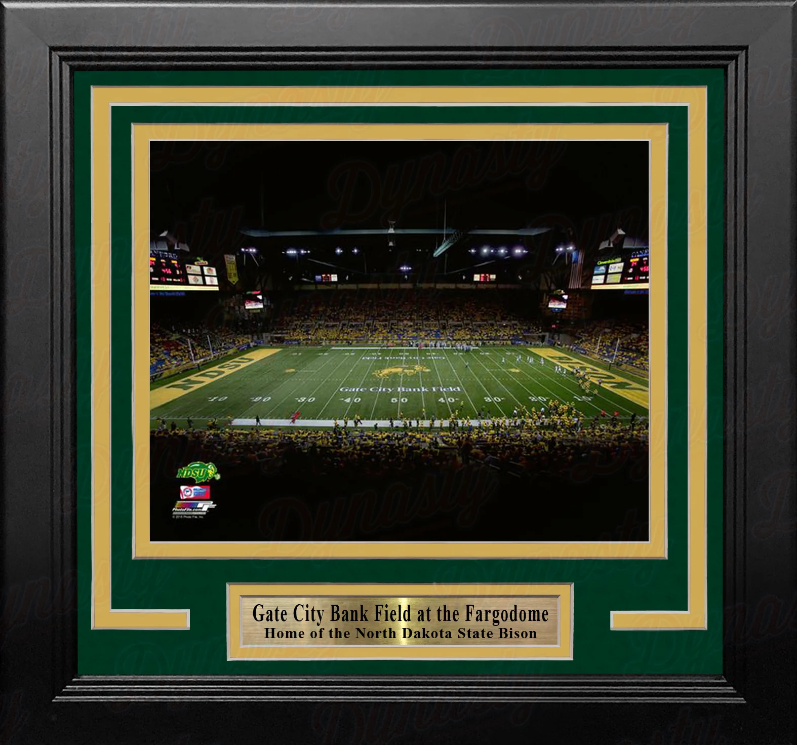 North Dakota State Bison Fargodome NCAA College Football Stadium 8" x 10" Framed and Matted Photo