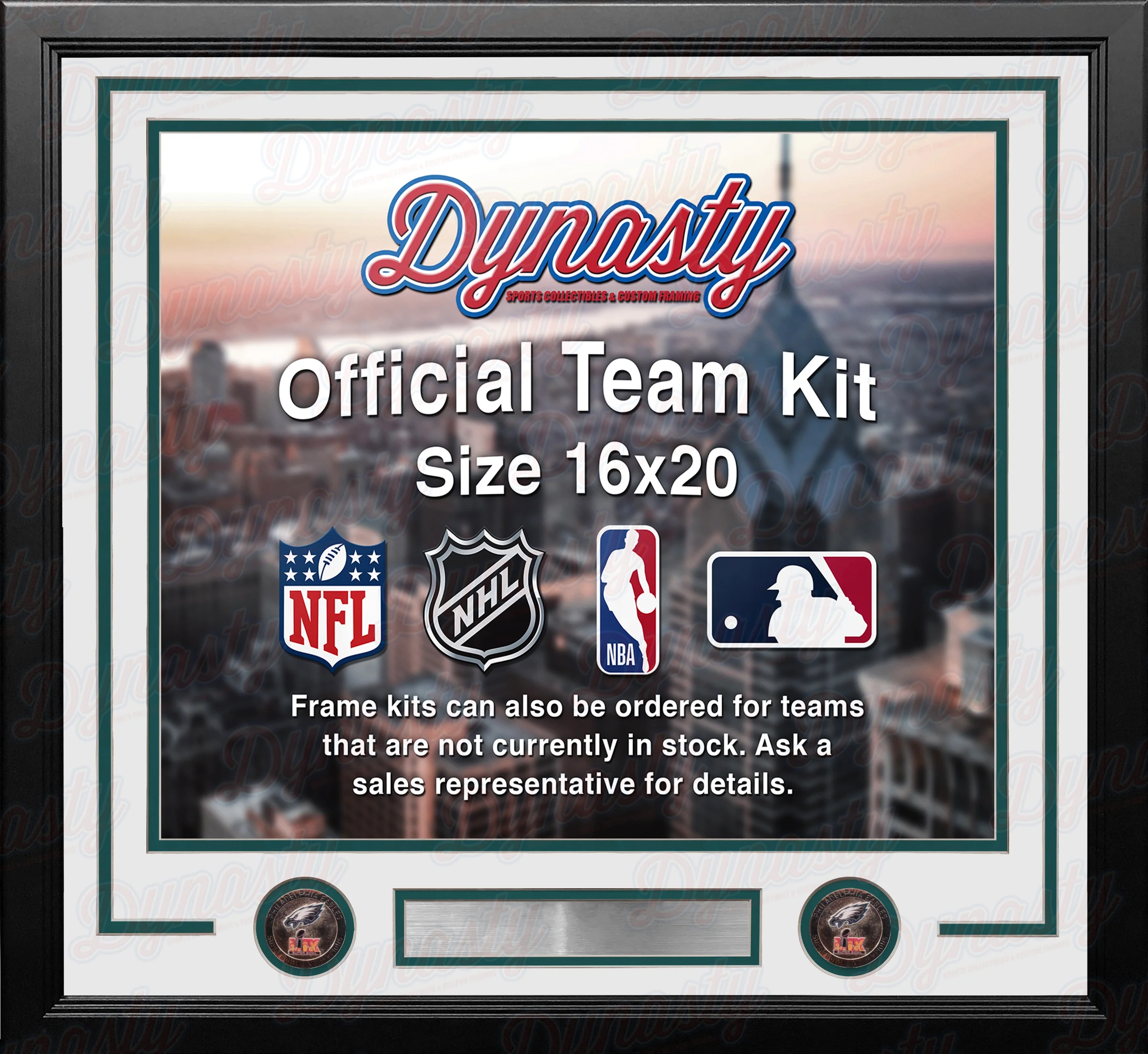 Philadelphia Eagles Super Bowl LIX Champions Custom NFL Football 16x20 Picture Frame Kit (3 Colors) - Image 3