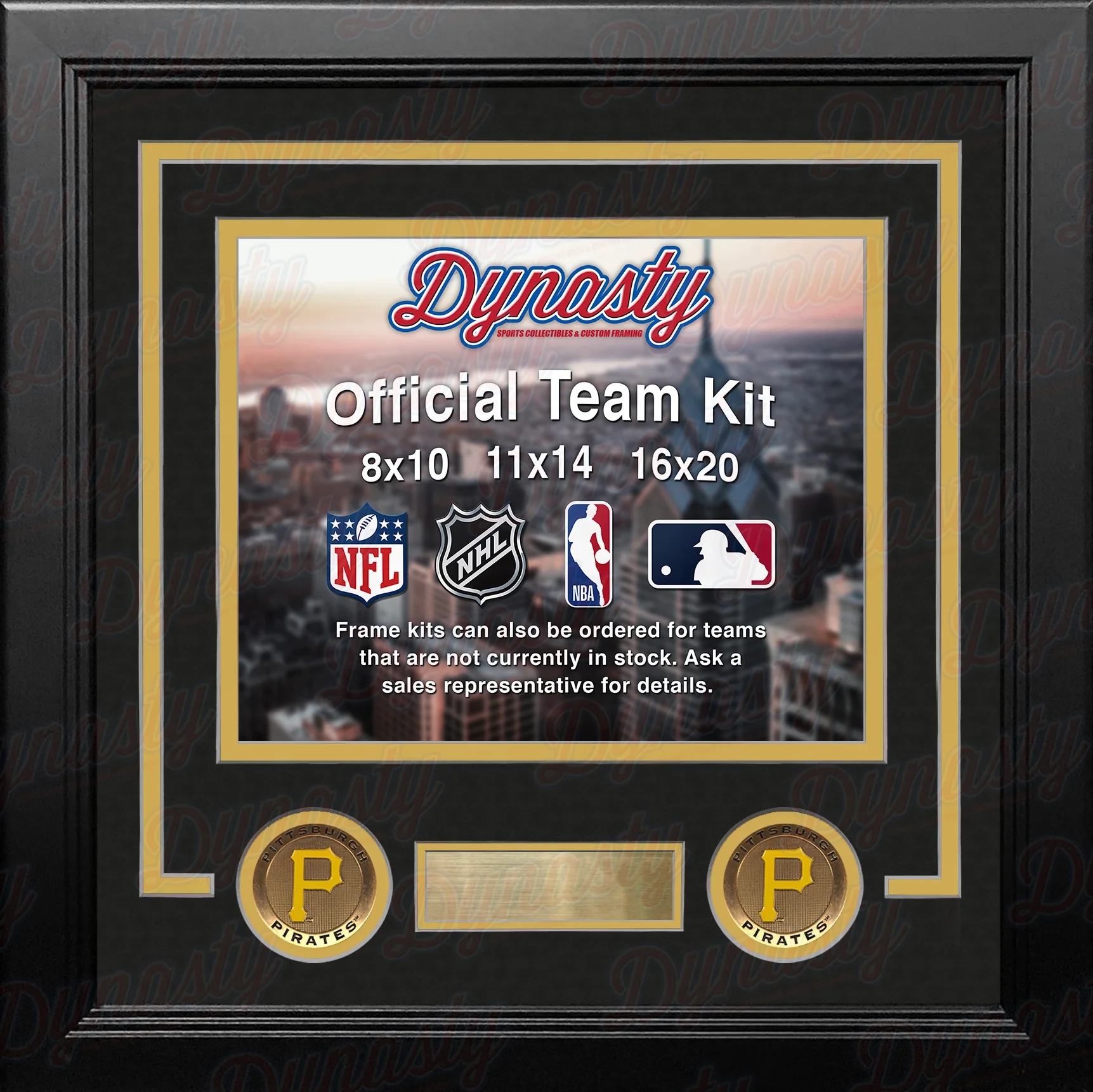 Pittsburgh Pirates Custom MLB Baseball 8x10 Picture Frame Kit (Multiple Colors)