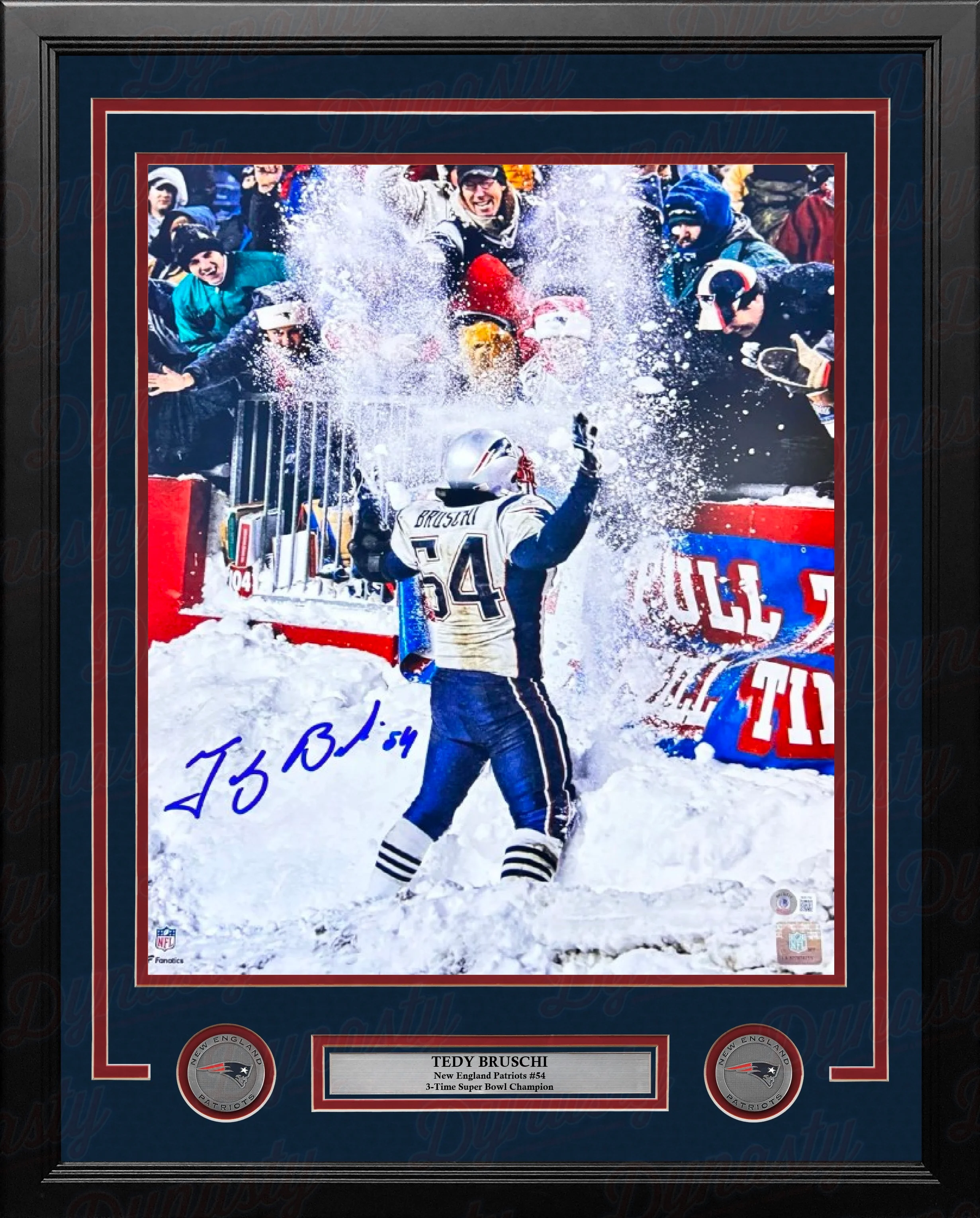 Tedy Bruschi Snow Celebration New England Patriots Autographed 16" x 20" Framed Football Photo